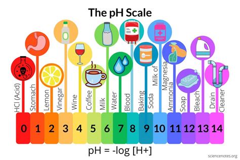 winph14|The pH Scale of Common Chemicals .